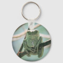 Recherche de photo de grenouille accessoires Mignon