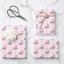 Zoek naar grappige flamingo cadeaupapier Dier