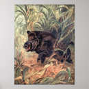 Recherche de sanglier art Cochons