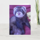 Recherche de furet anniversaire cartes Heureux