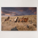 Recherche de cheval course puzzles Ranch