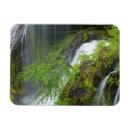 Recherche de de galerie magnets Luxuriant