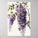 Recherche de glycine art Fleurs violettes
