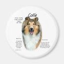 Recherche de race magnets Dog