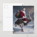 Recherche de ostrich cartes postales Mignon