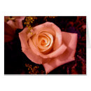 Zoek naar macro fotografie Plantkunde