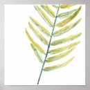Recherche de feuille palmier posters Botanique