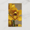 Zoek naar orchidee visitekaartjes Bloemen