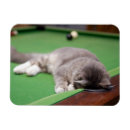 Recherche de table de billard magnets Boule de piscine
