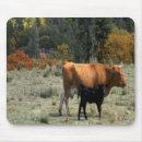 Recherche de veau vache tapis souris Pays