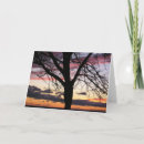 Zoek naar sunrises posters Boom