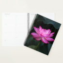 Recherche de lotus bureau fournitures Plante
