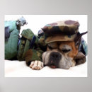 Zoek naar militaire hond posters Honden