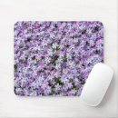 Recherche de phlox tapis souris Été