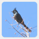 Recherche de déprimé autocollants Oiseau