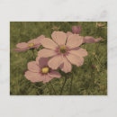 Recherche de faux vintage cartes postales Floral