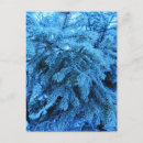 Recherche de cristaux cartes postales Hiver