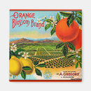 Recherche de caisse orange magnets Oranges