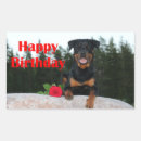 Recherche de rotation autocollants Rottweiler