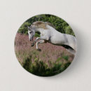 Recherche de galop badges Équestre