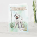 Recherche de terrier bedlington vœux cartes Pour tous