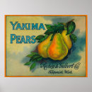 Recherche de caisses de fruit art Poires