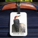 Recherche de oiseau rouge Pour lui