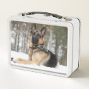 Zoek naar dieren lunchboxen Sneeuw