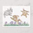 Zoek naar hazen briefkaarten Bunnies