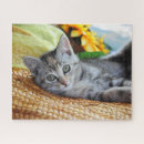 Zoek naar baby animal puzzels Kat
