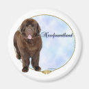 Recherche de terre neuve magnets Dog