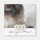Recherche de vous aiment magnets Chaton