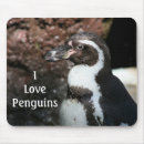 Recherche de le pingouin photographie Oiseau