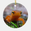 Recherche de salamandre ornements Animal
