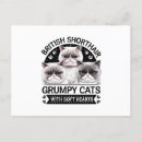 Recherche de de chaton cartes postales Chat drôle
