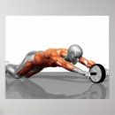 Recherche de muscle humain posters Médical