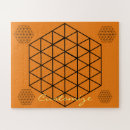 Zoek naar driehoeken puzzels Geometrie