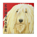 Recherche de bétail carreaux Chien de bétail