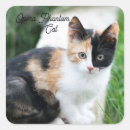 Recherche de fantôme drôle autocollants Film