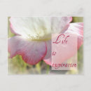 Zoek naar levensduur kaarten Papaver