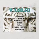 Recherche de yeux tigre cartes postales Faune