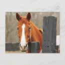 Recherche de cheval en bois cartes postales Animal