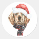 Recherche de chien de père noël autocollants Dog