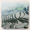Recherche de riz dessous de verres Agriculture
