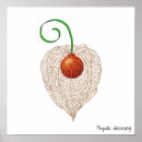 Recherche de illustration originale posters Fruit