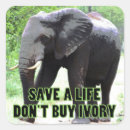 Recherche de défenses autocollants Animal