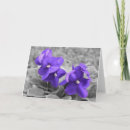 Zoek naar viooltje posters Fotografie