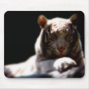 Recherche de tigre blanc tapis souris Animal