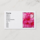 Recherche de plumeria cartes visite Floral
