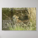 Recherche de un regard posters Animaux